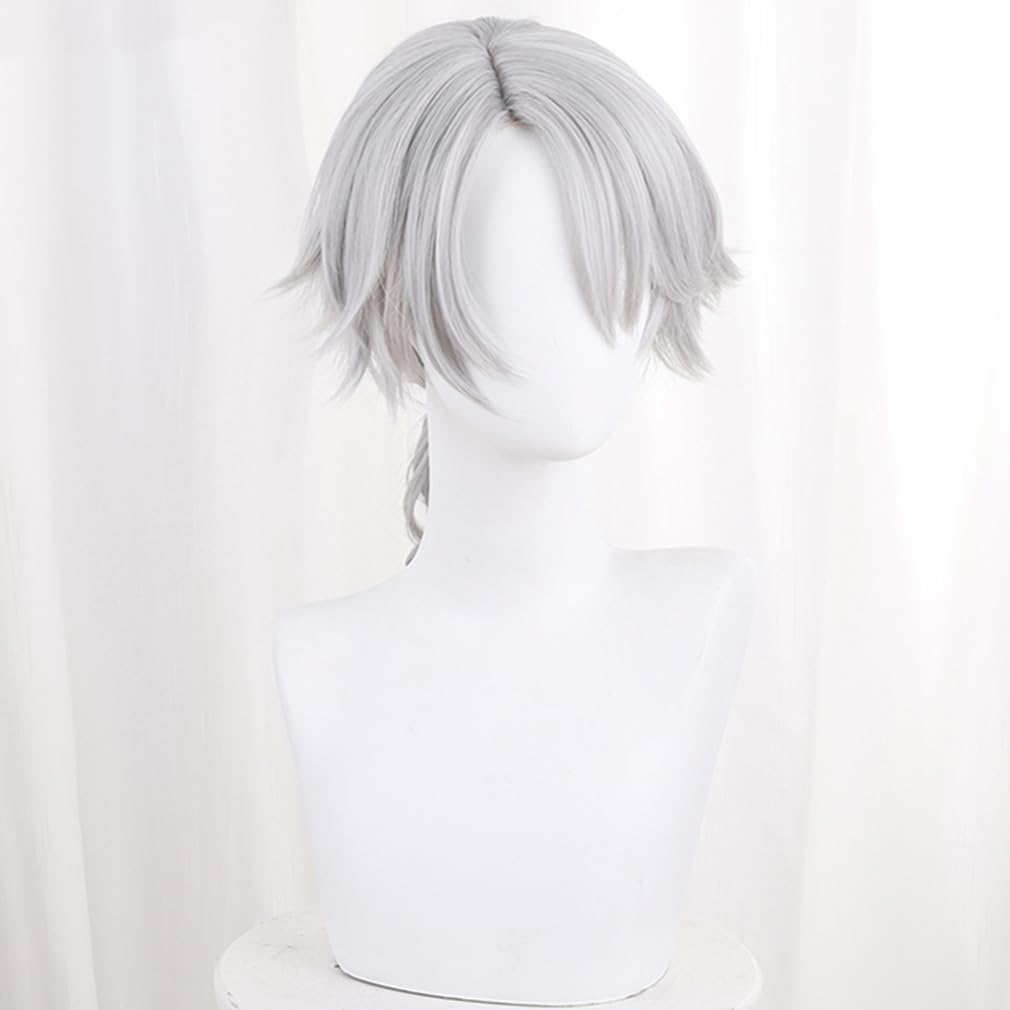 LAOBAO Cosplay Wig - Embalmer Aesop Carl Gut Silver Hair Ponytail Wig - Heat Resistant - Costume Accessory for Parties, Halloween, Festivals, Events,