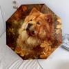 Chow Chow and Leaves Pattern, Automatic Folding Umbrella, Portable and Foldable Design, 8 Ribs, a Christmas or Birthday Gift.