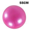 55cm Inflatable PVC Yoga Ball, Exercise Balance Balls for Fitness Gym  Exercise