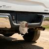 Capybara Anhängerkupplungsabdeckung 3D Gedruckte Abdeckung, Dekorative Anhänger Staubkappe, 50mm Anhängerkupplungsschutz, Wohnmobil LKW Zubehör Geländewagen