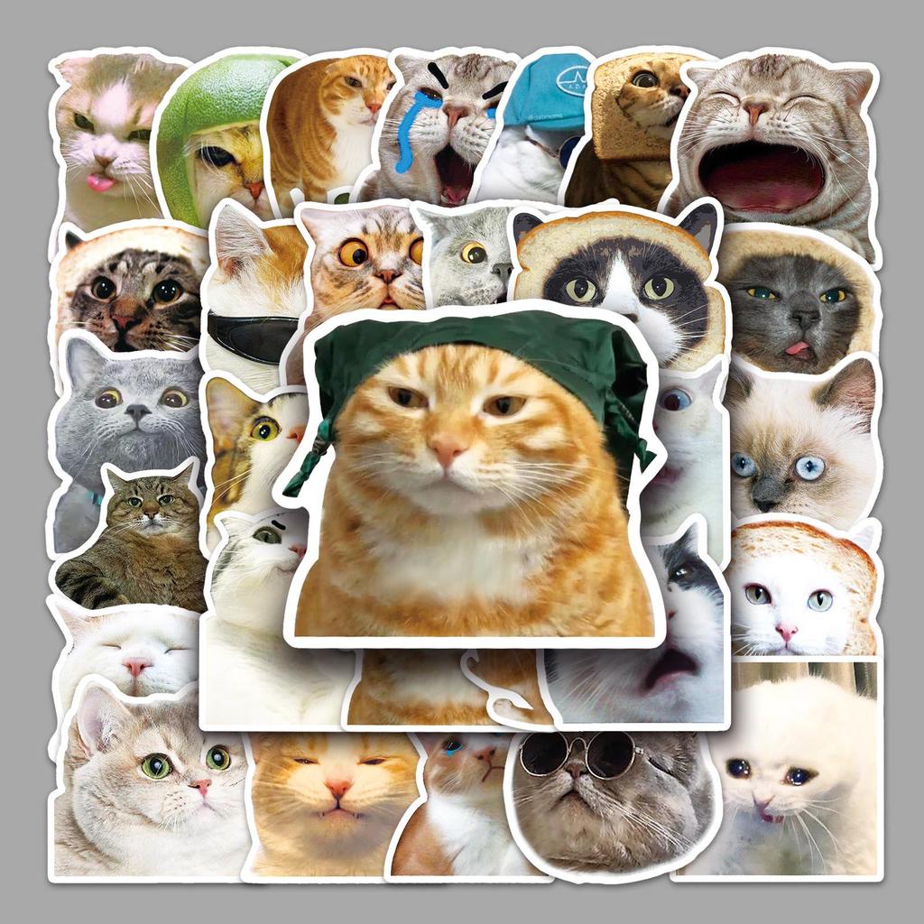 50-Pack Popular Cat Emoji Graffiti Stickers for Skateboards, Water Bottles, and Luggage