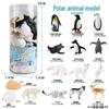 Frog Life Cycle Model Set: Tadpole to Frog Educational Toys for Kids