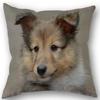 New Custom Dog Sheltie Pillowcase Cotton Linen Fabric Square Zipper Pillowcase 45X45cm Wedding Decorative Pillow Cover
