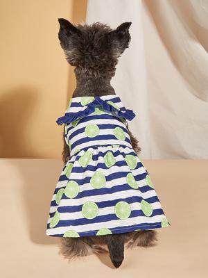 Hundekleid für kleine Hunde Kostüm Niedlich Fruchtbedruckt Welpe mit floralem Saum Hündchenkleider Haustier Katzen Kleidung Bekleidung