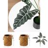 Friendly Artificial Alocasia Odora Leaf Plant With Handwoven Basket For Living Room Or Office Space