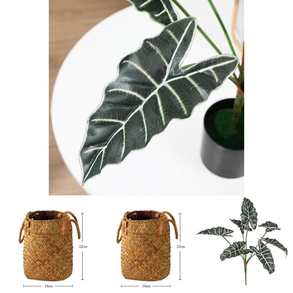Friendly Artificial Alocasia Odora Leaf Plant With Handwoven Basket For Living Room Or Office Space