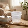 6xClear Orchid Pot 3 Pack, Square Polypropylene Slotted for Roots with Drainage System,