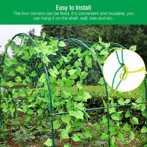 Cheap HeavyDuty Garden Plants Climbing Net Plastic & Nylon Net Morning