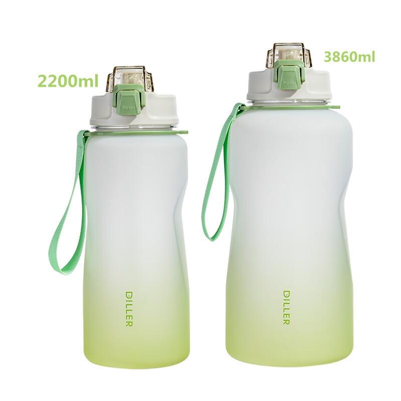 Diller Frosted Gradient Plastic Straw Water Bottle