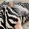 Zebra Soft Duvet Cover Set Black White Animal Print Beding Warm Comforter Covers plus 2 Pilowcases Home Decor for Children Kids Tens Young Boys Young