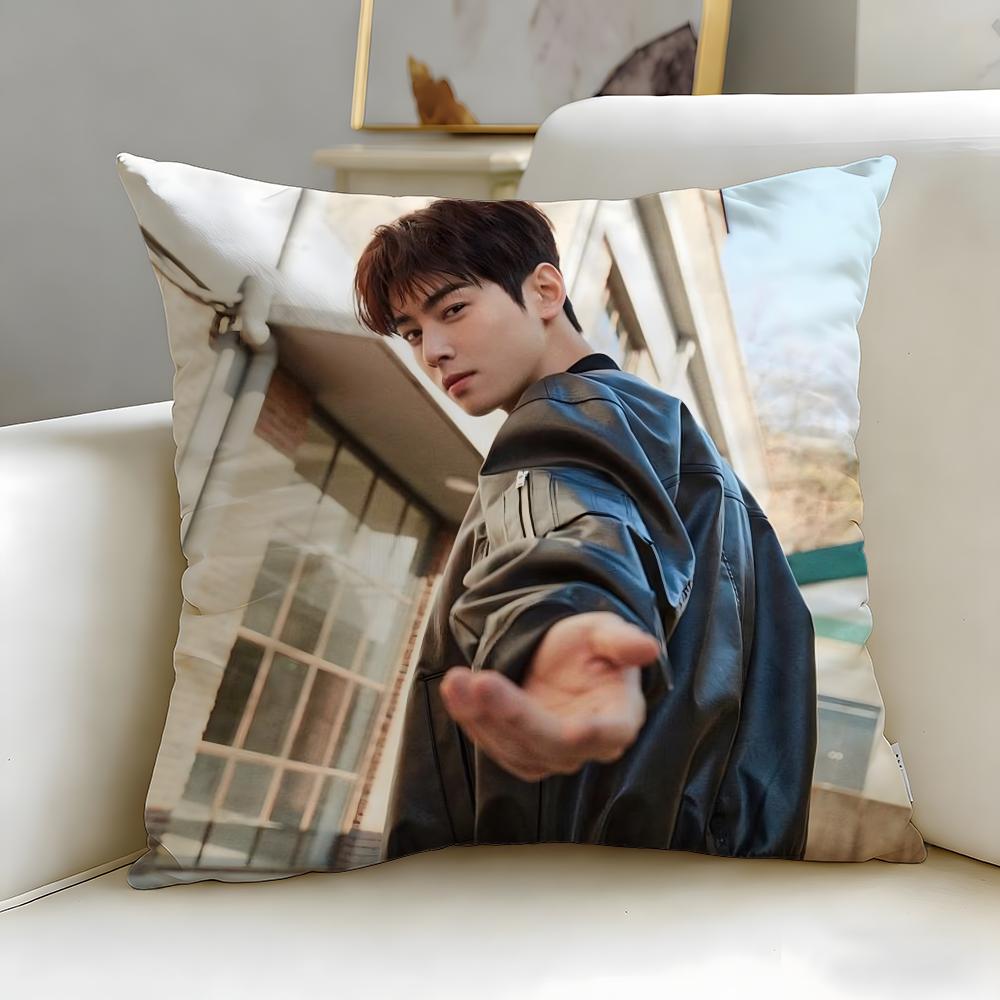 popular actor Cha Eun Woo Cushion Cover Soft  EasyWash Pillow Case  Versatile for Couch Bed Travel and Office