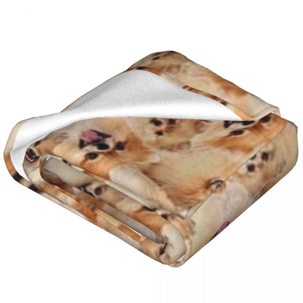 Pomeranian Blanket Pet Dog Picnic Flannel Throw Blanket Soft Durable Bedroom Design Bedspread Birthday Present