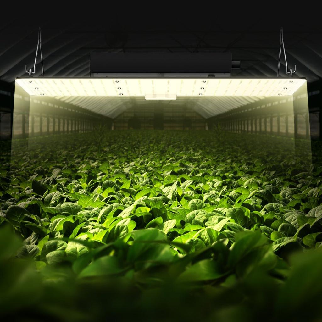LED Grow Light, 200W Full Spectrum Dimmable, High Yield Samsung 2B1B Diodes Growing Lamp for Indoor Plants Seedling Veg and Bloom Greenhouse Growing,