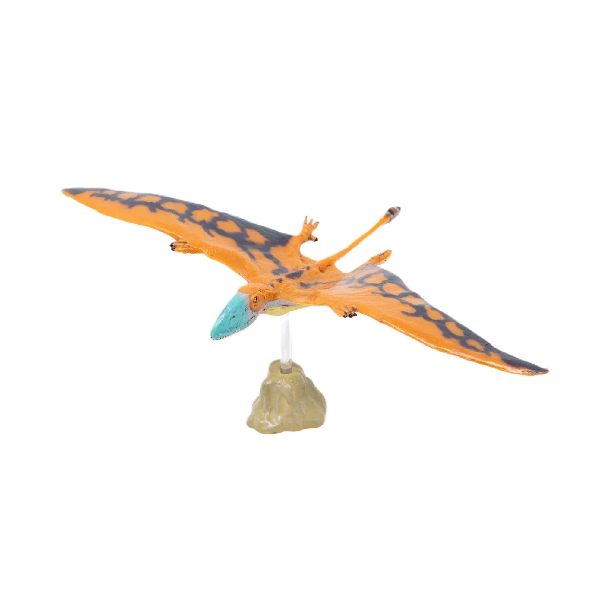 

Dimorphodon soft model