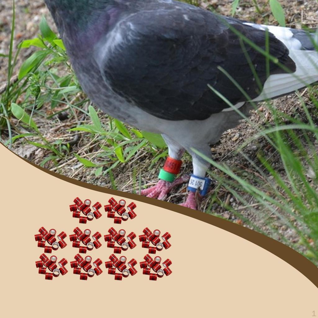 100 Pieces Pigeon Leg Rings Dove Poultry Supplies Reusable Identifying Bands Tags for