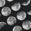 Funny Science Teacher Moon Phases Scientist Graphic Tshirt Men Fashion Casual Tshirt 100 Cotton Loose Oversized T Shirt Summer