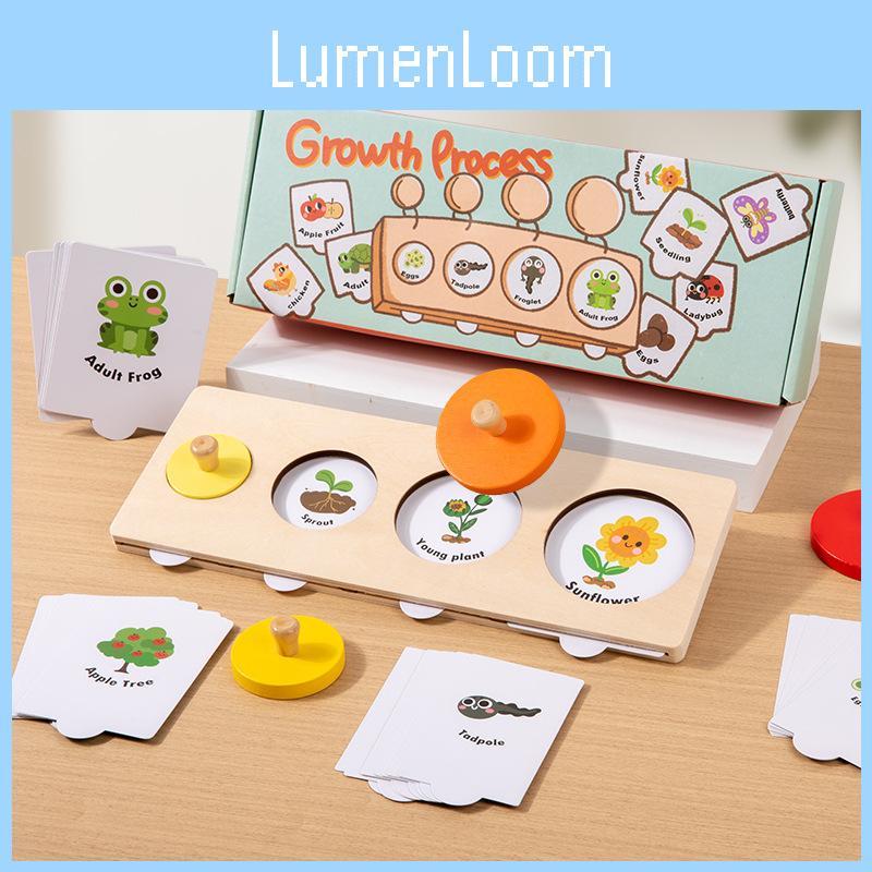 Montessori Cycle Growth Puzzle Wooden Educational Toy For Preschool Learning