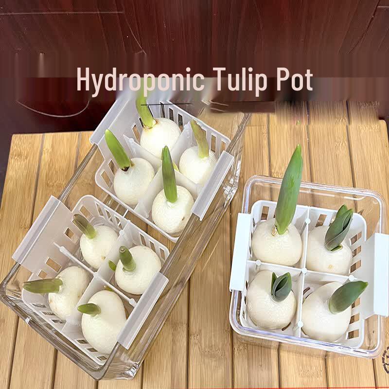 Acrylic Hydroponic Pot with Planting Basket