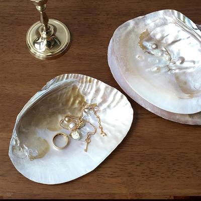 1 Peça Multifuncional Formato de Concha Delicado Bonito Decoração de Casa Recipiente de Armazenamento Porta-Armazenamento Bandeja de Armazenamento de Joias Artesanato