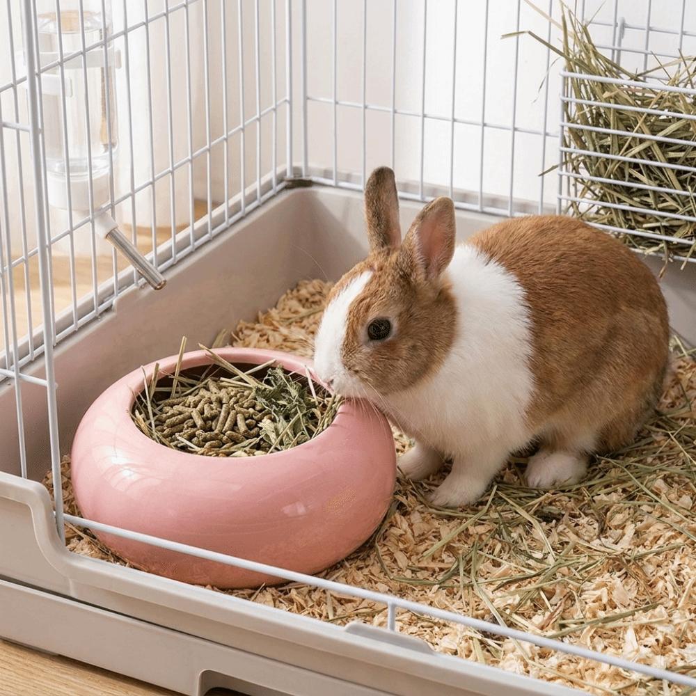 Ceramic Ferret Feeding Bowl Anti-Spill Guinea Pigs Food Dish Simple Pet Food Bowl Pet Snack