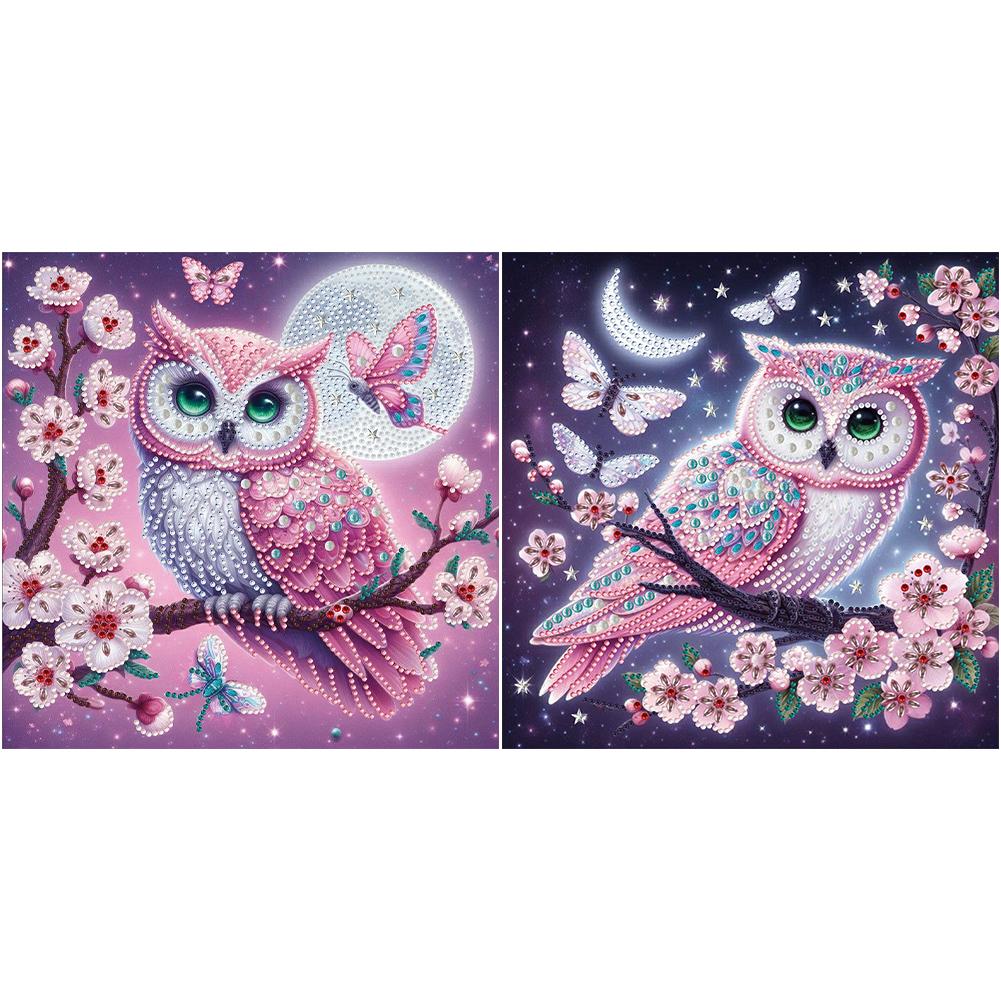 

- 5D-Diamant-Malerei-Set zum Selbermachen teilweise speziell geformt Eulen-Dekor