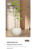 Black King Kong Resin Flower Pot - Large Cream-Style, Round for Living Room