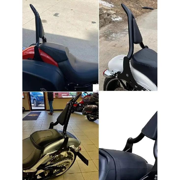 For Harley Softail FXLR FXLRS FLSB Sport Glide Low Rider ST S 2018-2025 Motorcycle Passenger Rear Backrest Sissy Bar