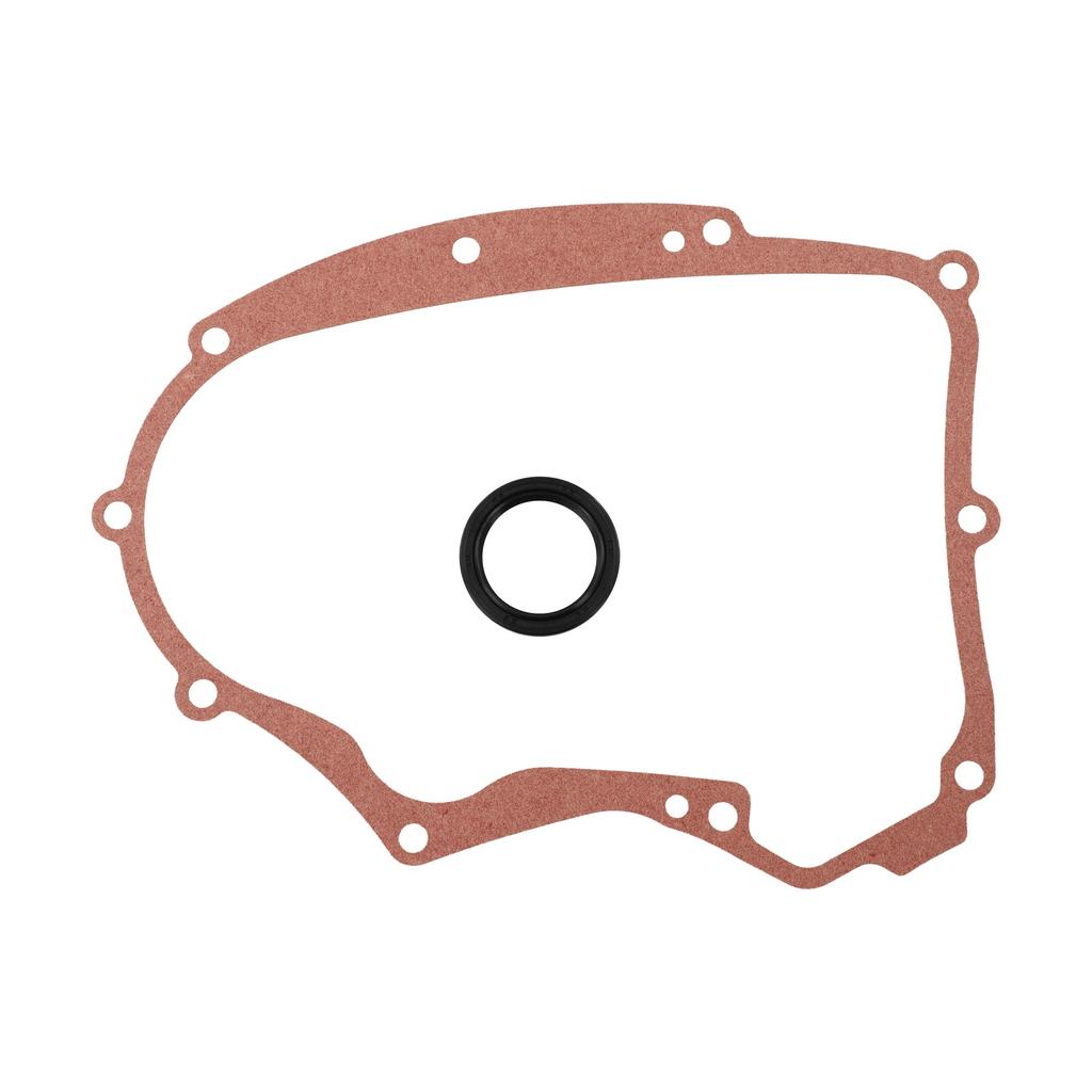 Crankcase Gasket Set with Seal for Various Engine Models 594195 795387