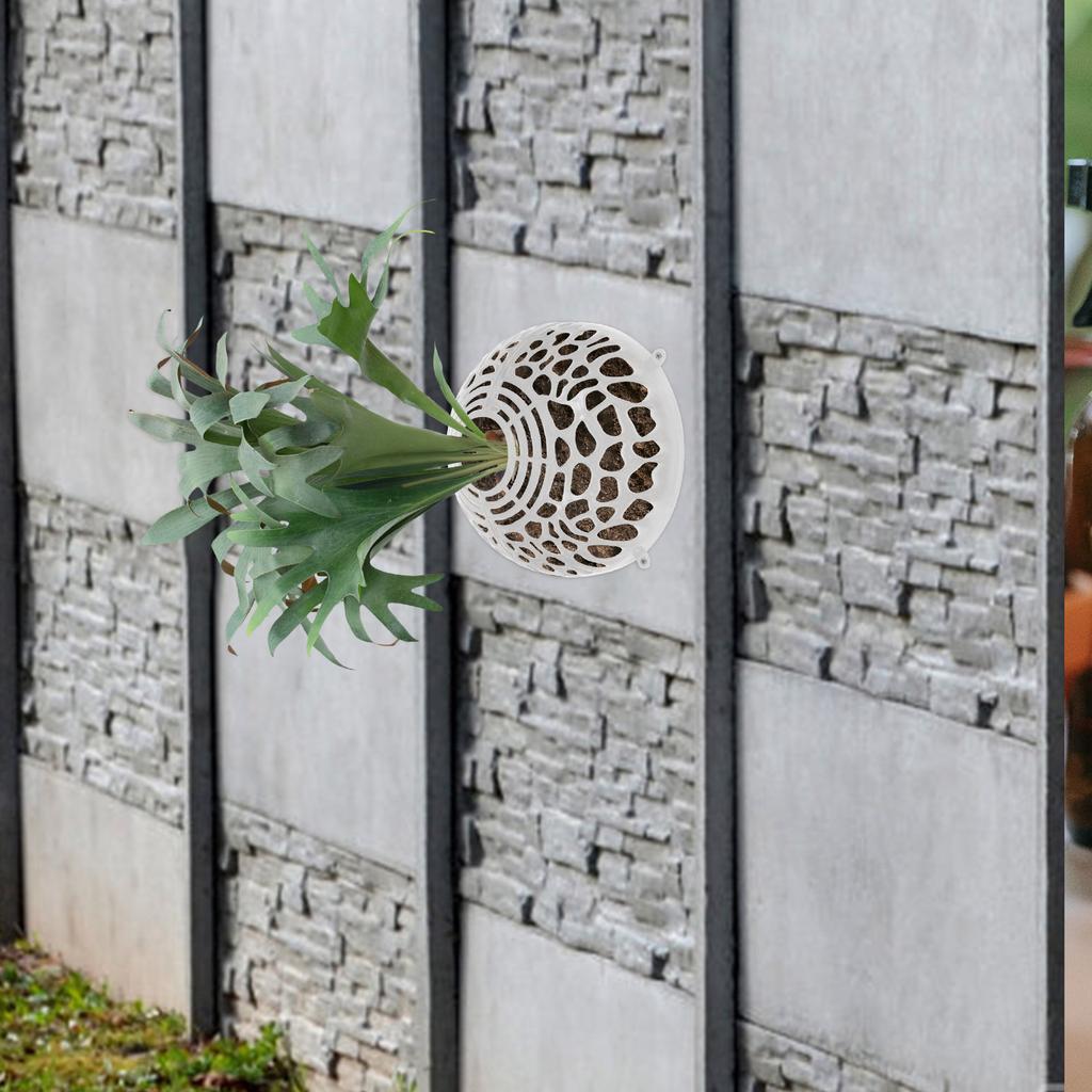 Breathable Phalaenopsis Water Plants Suspension Cover Transparent Plastic Floral Soil Air Vent Protective Cover Indoor Outdoor
