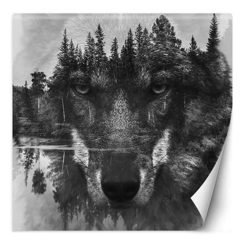 Wallpaper Wall muralWolf forest in mist nature animals