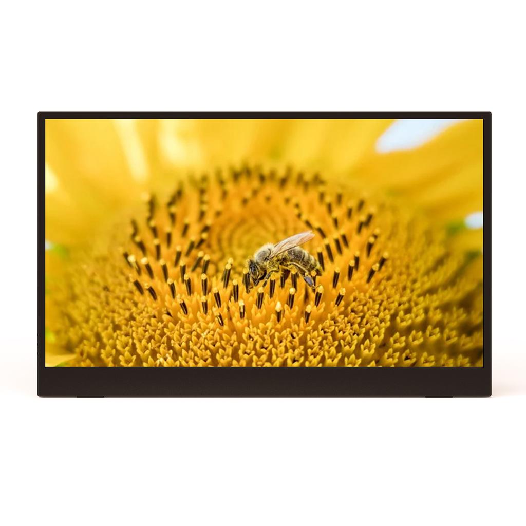 15,6 Zoll FHD 1080P Laptop-Monitor IPS-Bildschirm Tragbarer externer Gaming-Monitor Plug & Play mit PU