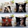 Singer B-Beyonce Cowboy Pillow Case Plush Fabric Soft Double Sided Print Sofa Cushion Cover Throw Pillow Covers