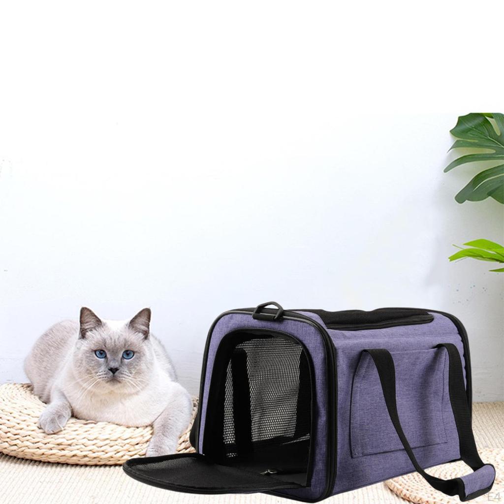 Breathable Folding Pets Carrier, Hiking Traveling Camping Sightseeing Handbag, Collapsible Bag,