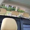 Husă Elastică Universală pentru Scaun Auto și Tetieră - Anti-murdărie, Potrivită pentru Vehicule cu 5-7 Locuri și Camioane