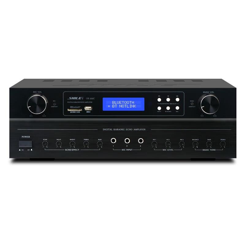 SHILE Professional 10-inch Conference & KTV Audio System with Wireless Microphones