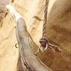 Natural Driftwood Wall Decorations with Hook Each One Is Different Hanging Real Wood Wall Organizer
