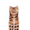 Cat Funny Hand Towel Absorbent Cartoon Cute Washcloths Drying 13x55cm for Gifts