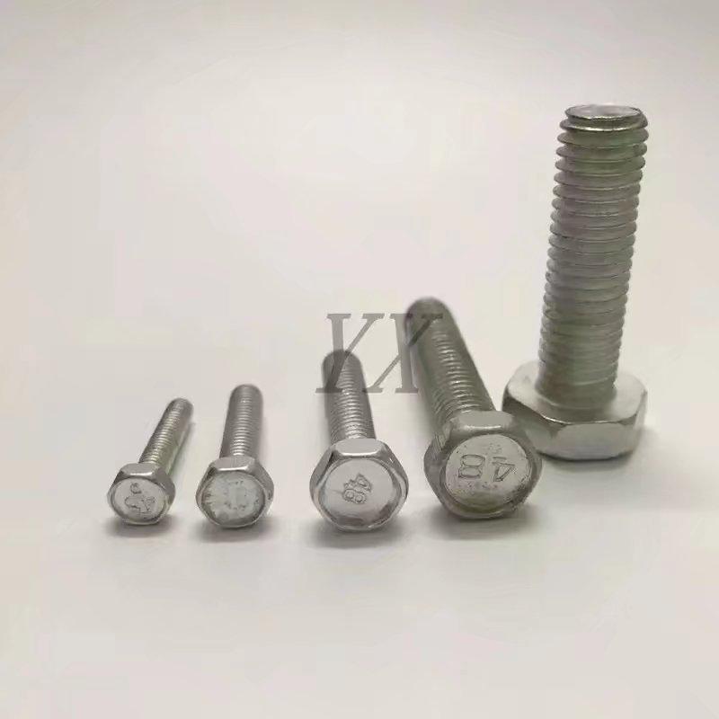 Galvanized M10 Hex Bolt 4.8 Grade for Air Conditioners