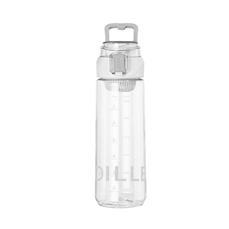Diller Portable Water Bottle with Tea Infuser