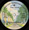 7inch Record CANDI STATON  Nights On Broadway  K16972 Warner Bros. Re 1977 UK SoulFunk Used