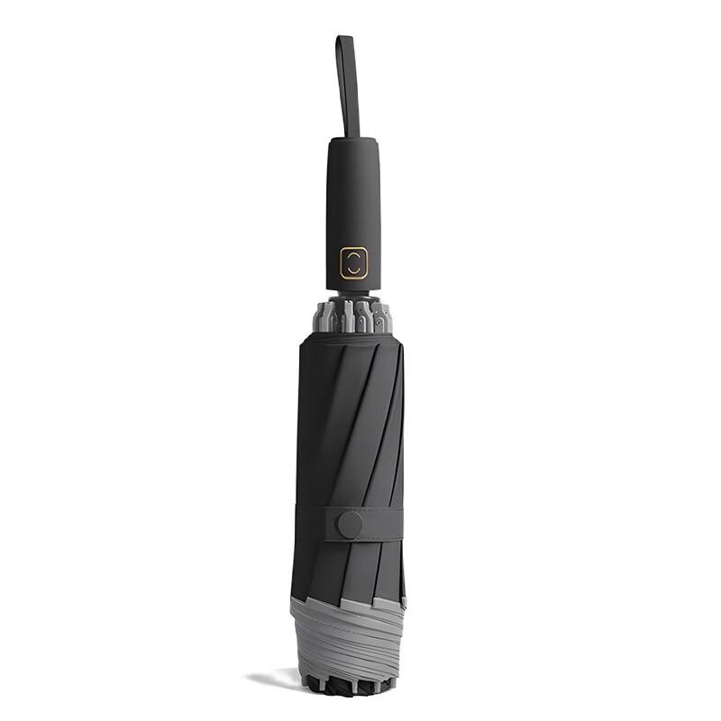 Lulian Automatic 10-Rib Inverted Folding Umbrella