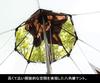 Ogawa Tent One Pole Pilz 15TC [8 People] 2790
