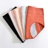 Leak Proof Menstrual Briefs High Waist Physiological Underwear Simple Period Pants  Women