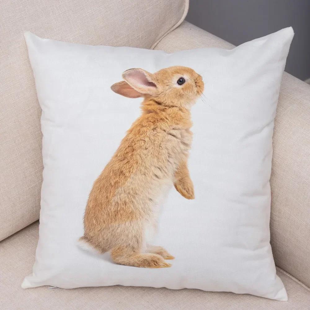 Home Sofa Kids Room Decor Cute Pet Animal Print Cushion Cover Pillowcase  Rabbit