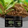 Soil Activators and Plant Nutrition Garden Beds for Cultivation Potting Mix Seedling Compost Promoting Plant Rooting