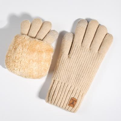 Knitted Gloves Women's Warm and Cold Proof Outdoor Cycling Double Layer Plus Velvet Thickened Touch Screen Winter Gloves