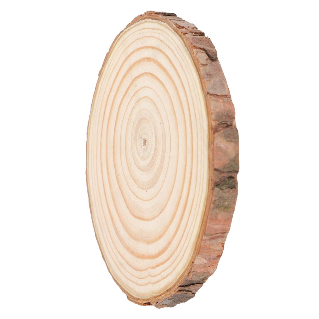 Natural Wood Slices Round Pine Logs DIY Crafts Painting Wedding Festivals Decoration5# 11-12cm