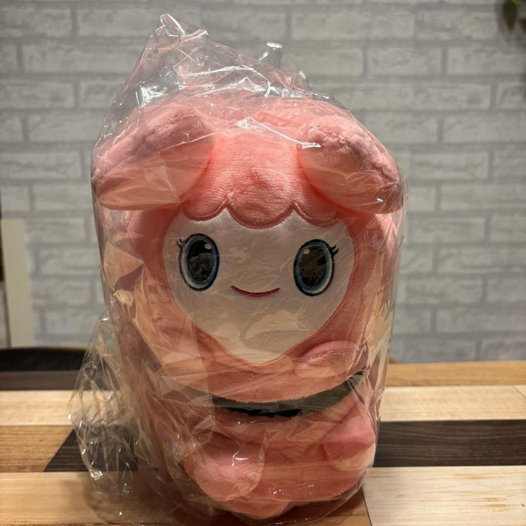 [USED] TWICE LOVELY GIGO Limited Edition Momo Plush Slippers