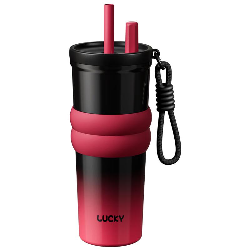 HDST 316 Stainless Steel Insulated Straw Tumbler