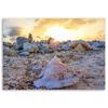 Canvas print Shell Stones Sea